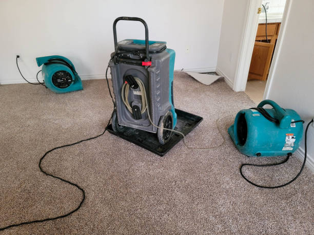 Best Emergency water damage restoration  in Cypress Gardens, FL