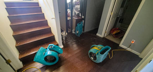 Best 24-hour water damage restoration  in Cypress Gardens, FL