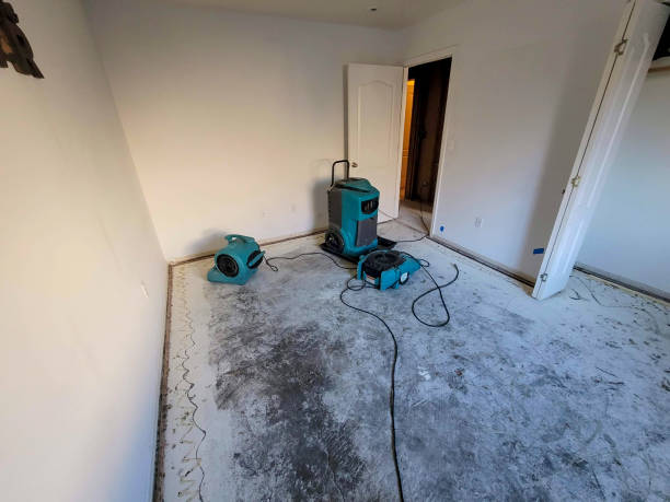 Best Ceiling water damage repair  in Cypress Gardens, FL