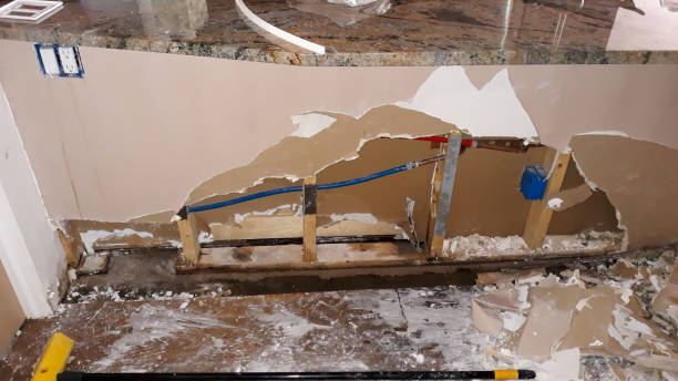  Cypress Gardens, FL Water damage restoration Pros
